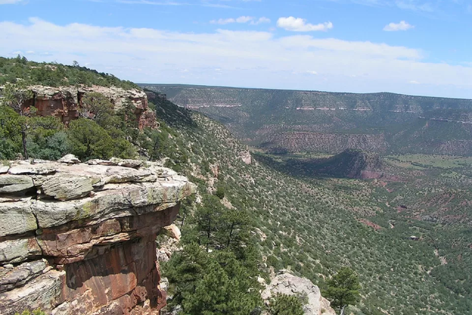New Mexico Backcountry